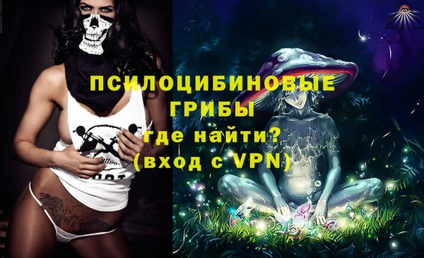 гидропоника Медвежьегорск