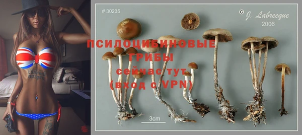 МДМА Мегион