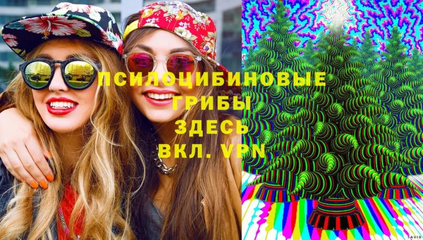 эйфоретик Медногорск