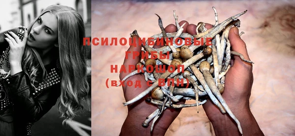 эйфоретик Медногорск